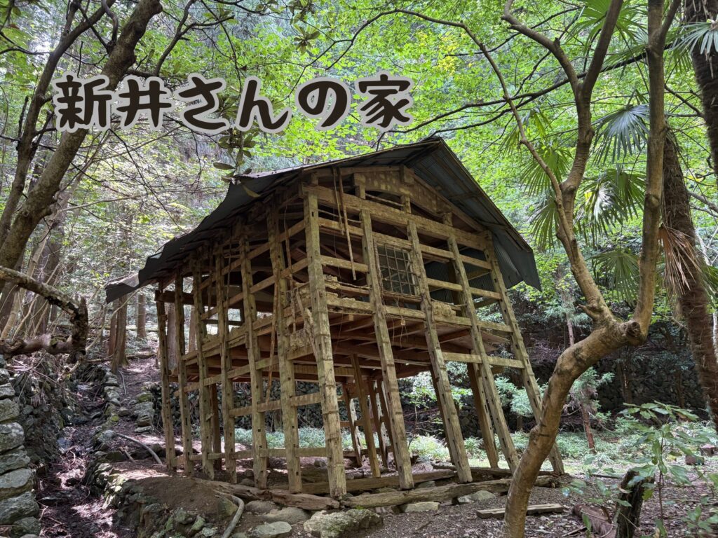 新井さんの家